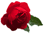 Image of rose1r.gif